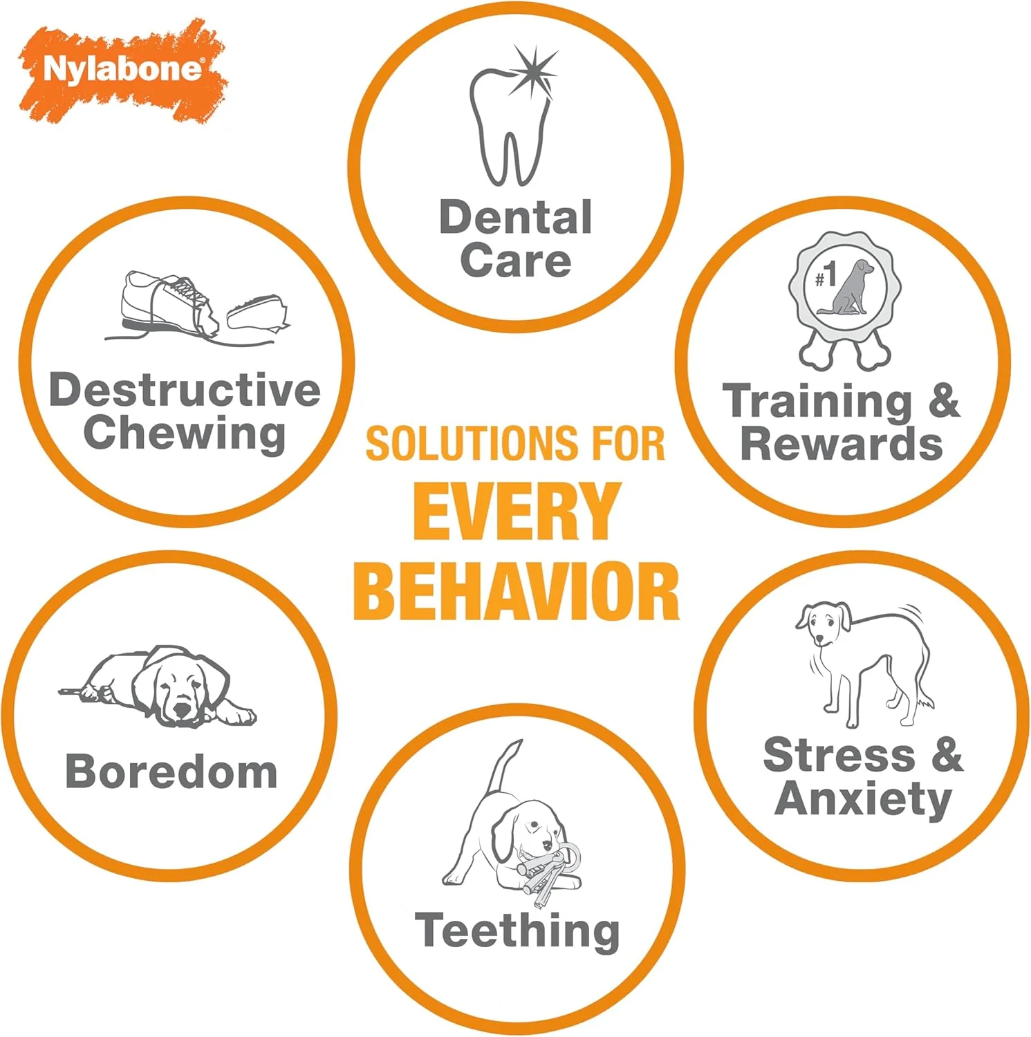 Nylabone Strong Chew Sneaky Snacker Treat Toy for Dogs, Interactive Dog Enrichment Chew Toys, Bacon Flavor - Image 7