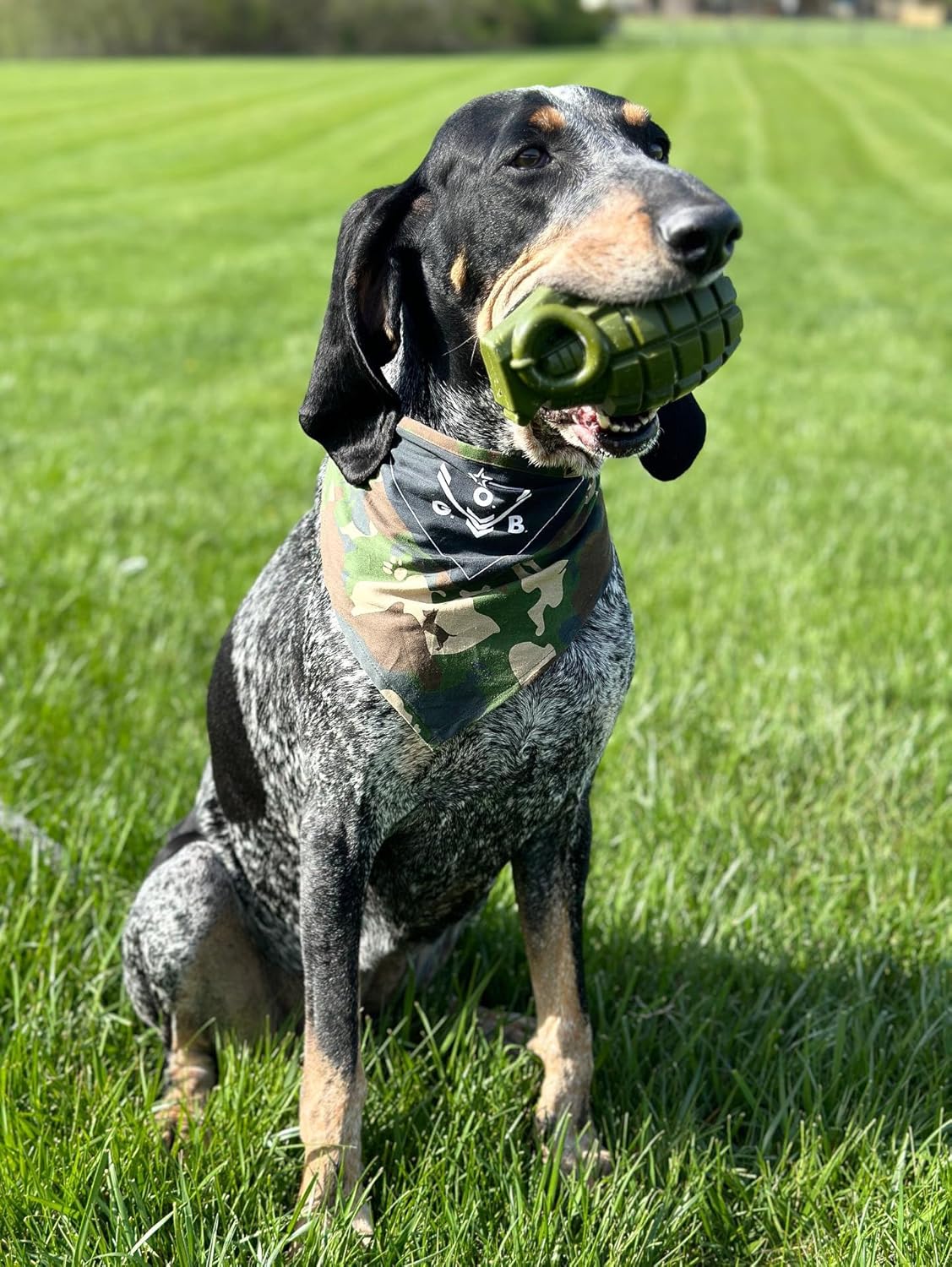 O.G.B. Operation Good Boy Durable Grenade Dog Toy - Patriotic Military Gear Inspired Chew Toy - Durable,Teething, and Interactive Play, Stuffable with Treats - Image 4
