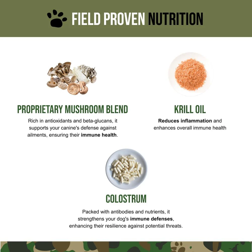 O.G.B. Operation Good Boy - SRE: Immunity Supplement for Pets - 90 Count Soft Chews - 12.7oz - Made Natural Ingredients - Veteran Owned - Image 4