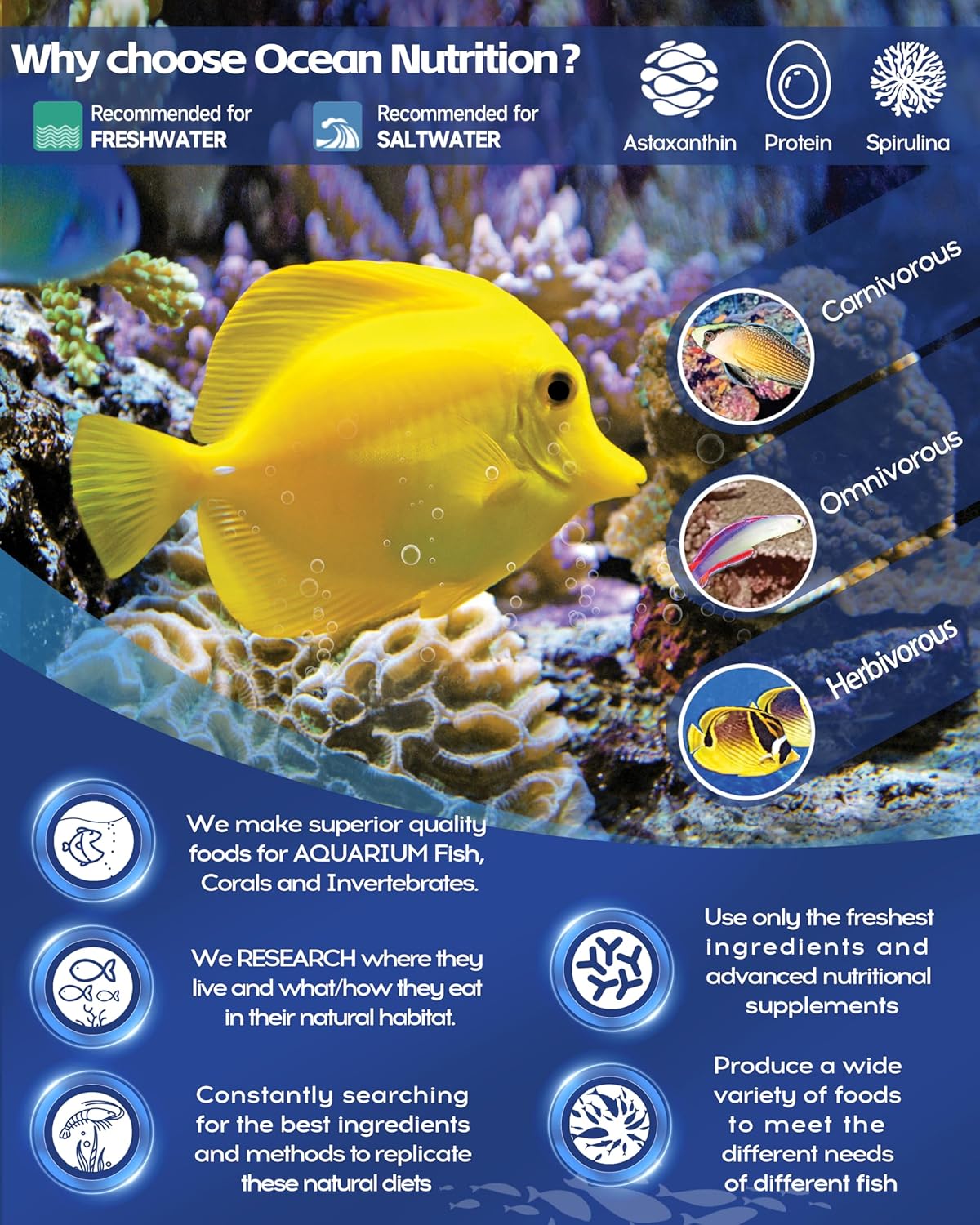 Ocean Nutrition Fish Food - Cichlid Fish Food, High Protein Fish Flakes, Tropical Fish Flakes, Ideal Cichlid Food for Angelfish, Kribensis, Ram Cichlids and More, Made in The USA, 1.2 oz (34 g) - Image 7