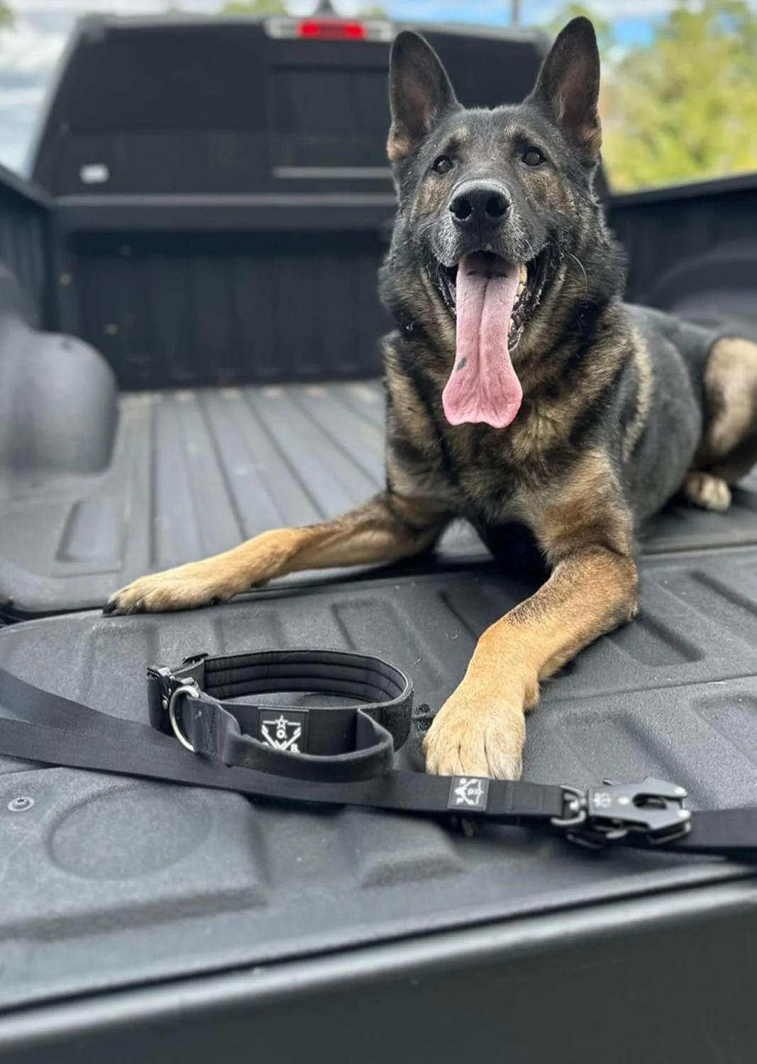 Operation Good Boy Tactical Collar (Black) - Durable & Strong - Includes Quick Release Buckle and Military Grade Handle - Veteran Owned and Operated - Image 5