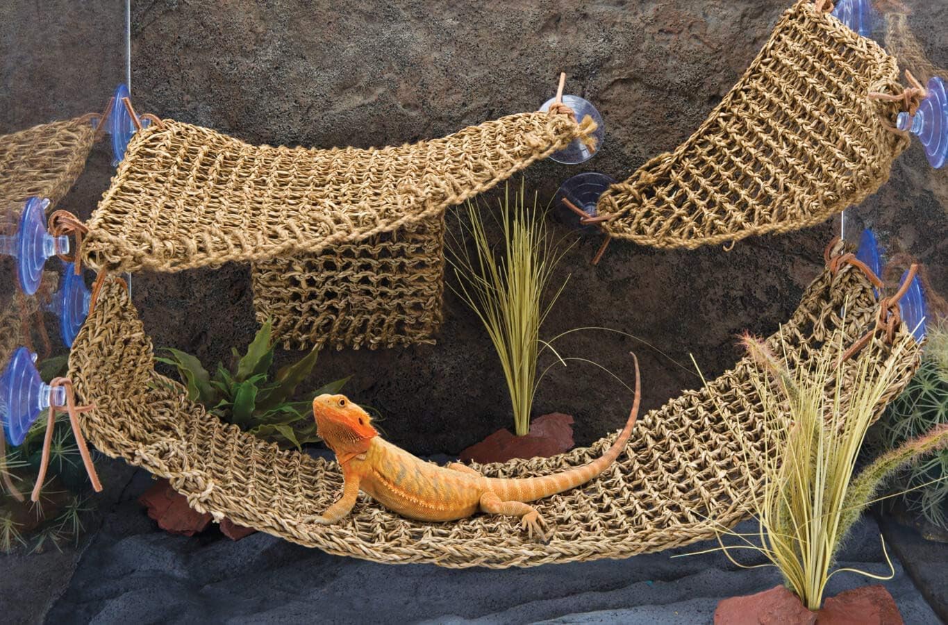 PENN-PLAX Reptology Lizard Lounger Corner Triangle – 100% Natural Seagrass Fiber – Great for Bearded Dragons, Anoles, Geckos, Iguanas, and Other Reptiles - Image 2