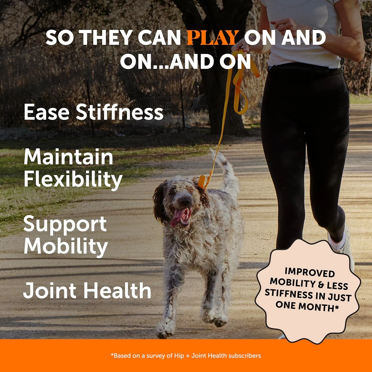 Pet Honesty Hip & Joint Health - Glucosamine for Dogs Soft Chews, Joint Supplement for Dogs with Glucosamine Chondroitin, MSM, Turmeric, Anti Inflammatory, Support + Mobility (Chicken 90ct) - Image 2