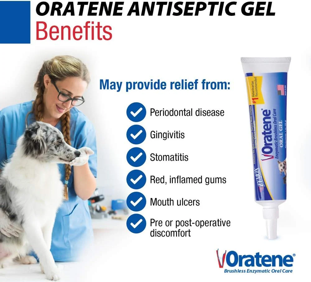 Pet King Brands ZYMOX Oratene Brushless Oral Gel for Dogs and Cats, 1oz - Image 4