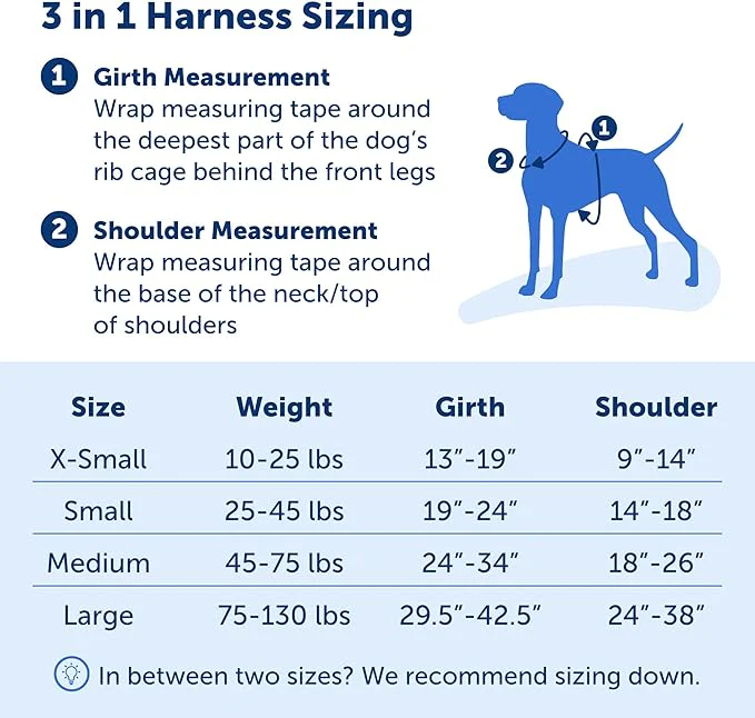 PetSafe 3 in 1 Dog Harness - No Pull Solution for Dogs - Reflective Dog Harness - Front D-Ring Clip Helps Stop Pulling - Comfortable Padded Straps - Top Handle Enhances Control - Image 2