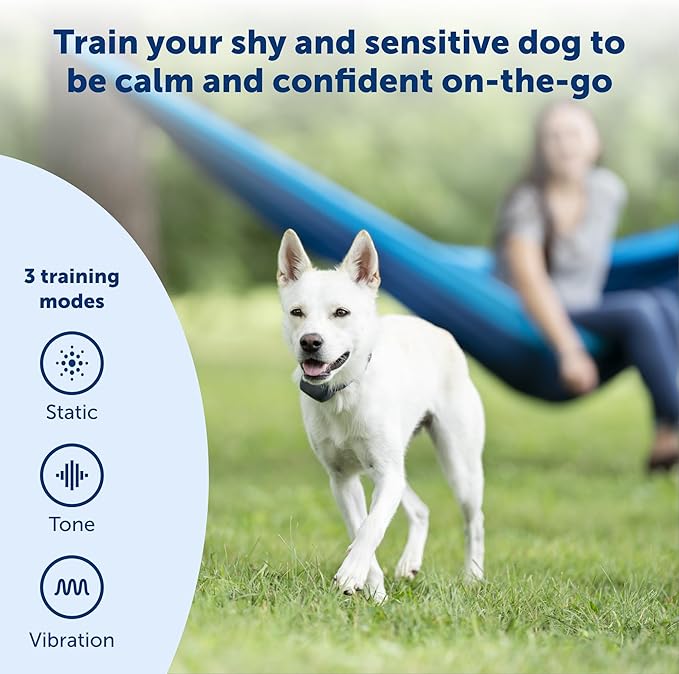 PetSafe 300 Yard Remote Training Collar – Choose from Tone, Vibration, or 15 Levels of Static Stimulation – Medium Range Option for Training Off Leash Dogs – Waterproof and Durable – Rechargeable - Image 2