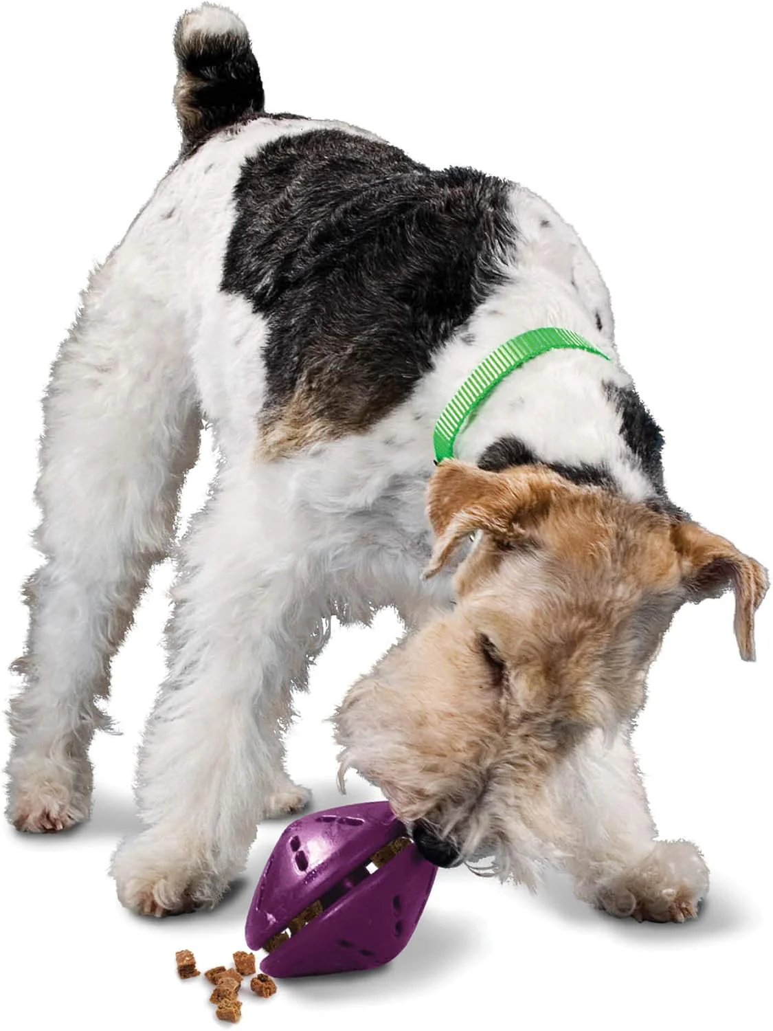 PetSafe Busy Buddy Twist 'n Treat Dispensing Dog Toy - Image 2