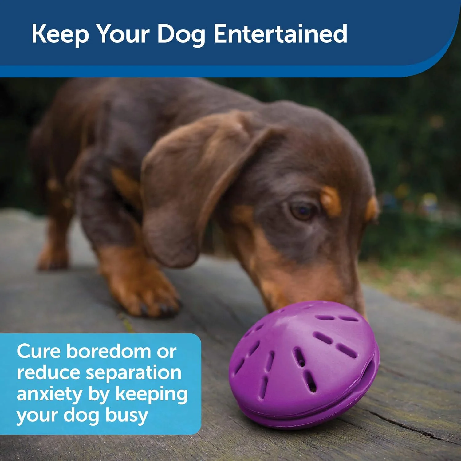 PetSafe Busy Buddy Twist 'n Treat Dispensing Dog Toy - Image 4