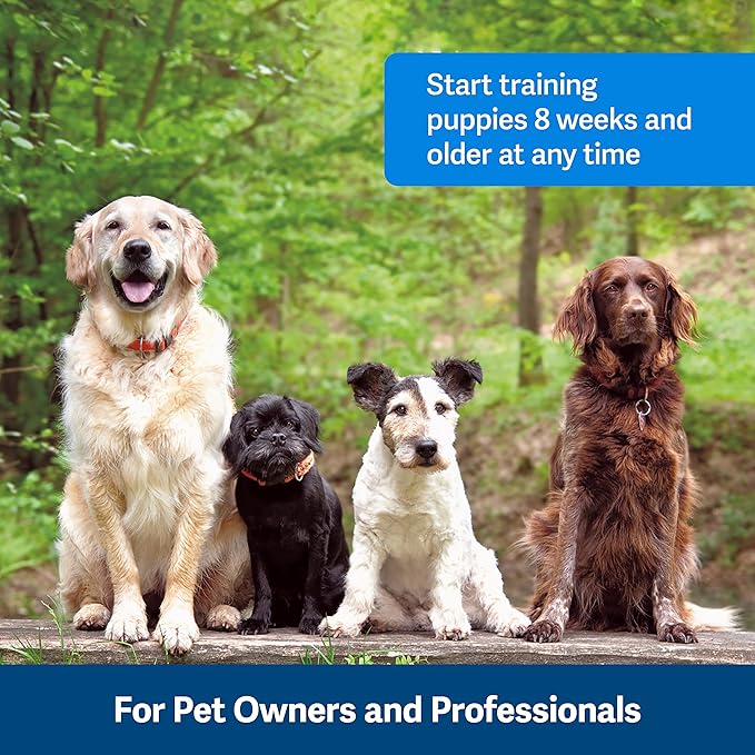 PetSafe Clik-R Dog Training Clicker - Positive Behavior Reinforcer for Pets - All Ages, Puppy and Adult Dogs - Use to Reward and Train - Training Guide Included - Image 8