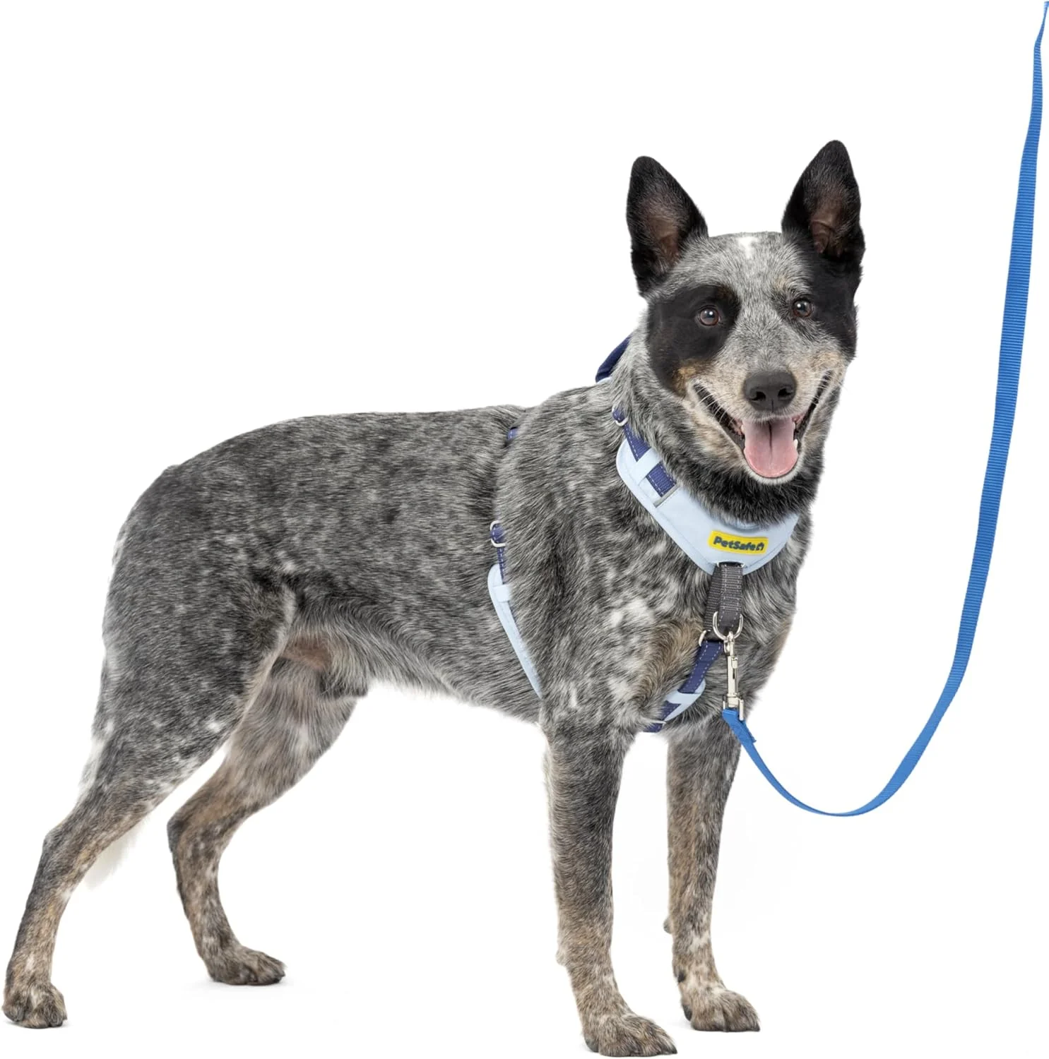PetSafe Easy Walk Comfort No-Pull Dog Harness Full-Body Padding - Better Walks on The First Use - 5 Points of Adjustment , Blue - Image 6