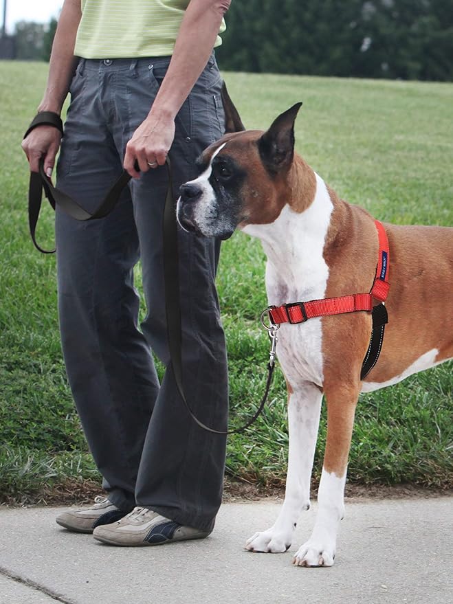 PetSafe Easy Walk Deluxe Dog Harness, No Pull Dog Harness – Perfect for Leash & Harness Training – Stops Pets from Pulling and Choking on Walks – Large - Image 6