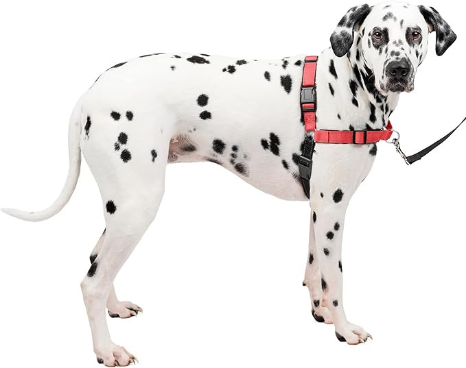 PetSafe Easy Walk Deluxe Dog Harness, No Pull Dog Harness – Perfect for Leash & Harness Training – Stops Pets from Pulling and Choking on Walks – Large - Image 9