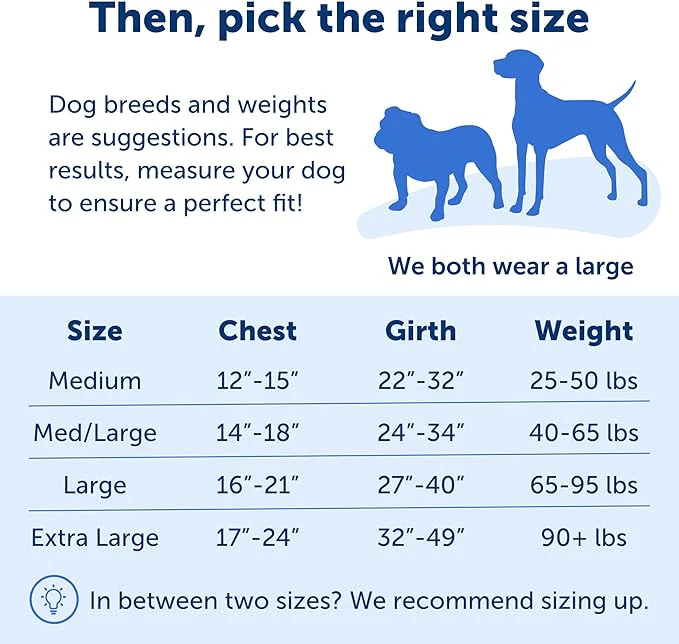 PetSafe Easy Walk Deluxe Dog Harness, No Pull Dog Harness – Perfect for Leash & Harness Training – Stops Pets from Pulling and Choking on Walks – Medium - Image 3