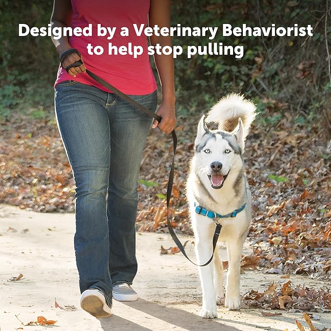 PetSafe Easy Walk Deluxe Dog Harness, No Pull Dog Harness – Perfect for Leash & Harness Training – Stops Pets from Pulling and Choking on Walks – Medium - Image 4
