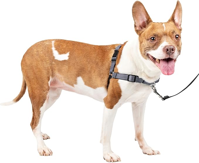 PetSafe Easy Walk Deluxe Dog Harness, No Pull Dog Harness – Perfect for Leash & Harness Training – Stops Pets from Pulling and Choking on Walks – Medium - Image 9