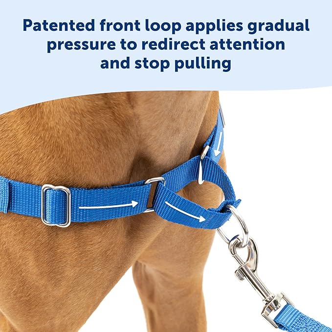 PetSafe Easy Walk No-Pull Dog Harness - The Ultimate Harness to Help Stop Pulling - Take Control & Teach Better Leash Manners - Helps Prevent Pets Pulling on Walks, Medium - Image 4
