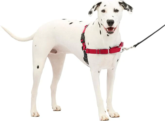 PetSafe Easy Walk No-Pull Dog Harness - The Ultimate Harness to Help Stop Pulling - Take Control & Teach Better Leash Manners - Helps Prevent Pets Pulling on Walks, Medium/Large - Image 7