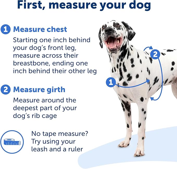 PetSafe Easy Walk No-Pull Dog Harness - The Ultimate Harness to Help Stop Pulling - Take Control & Teach Better Leash Manners - Helps Prevent Pets Pulling on Walks, Small/Medium - Image 6