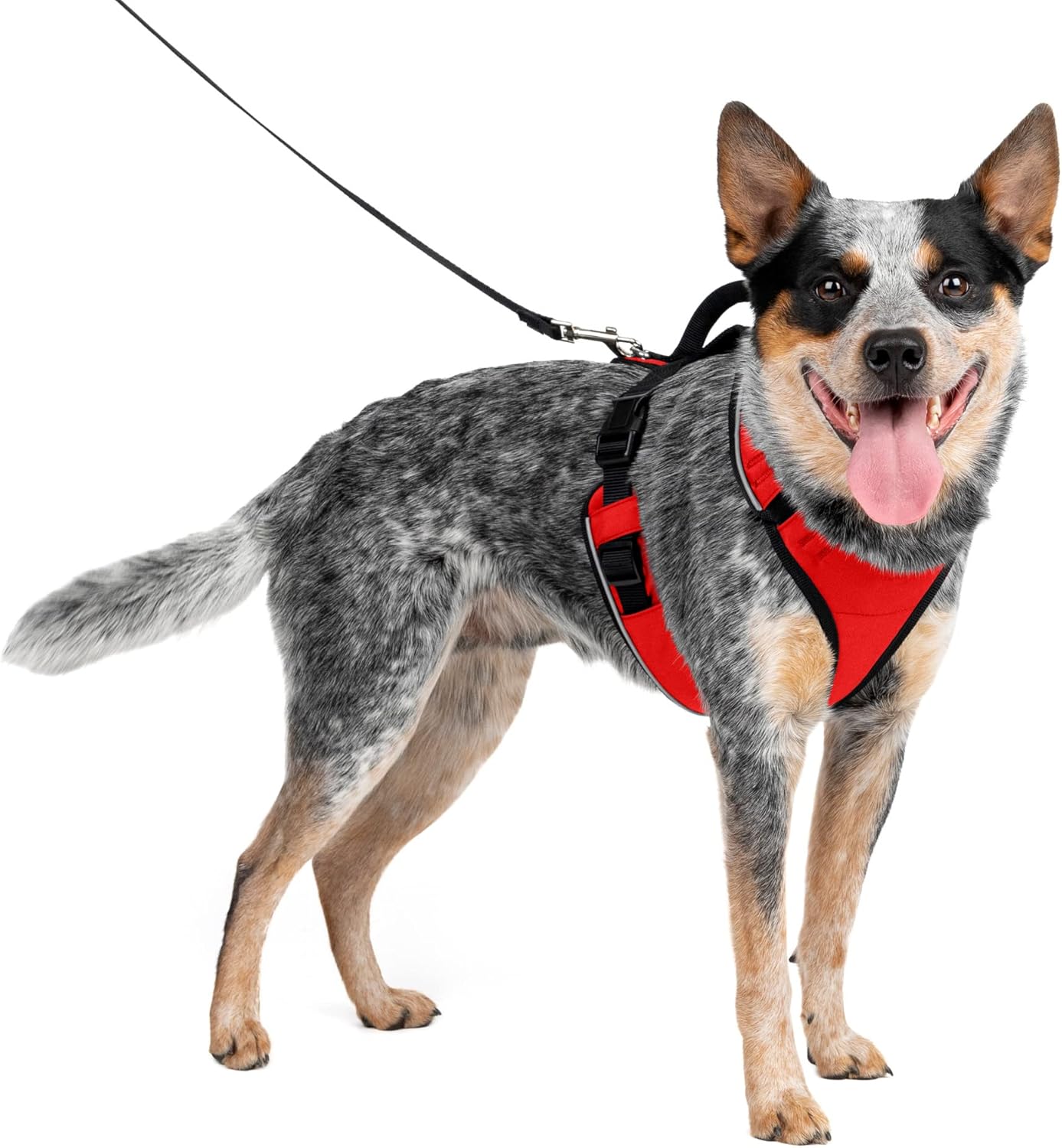PetSafe EasySport Dog Harness – Adjustable Padded Dog Harness with Control Handle and Reflective Piping - Image 2