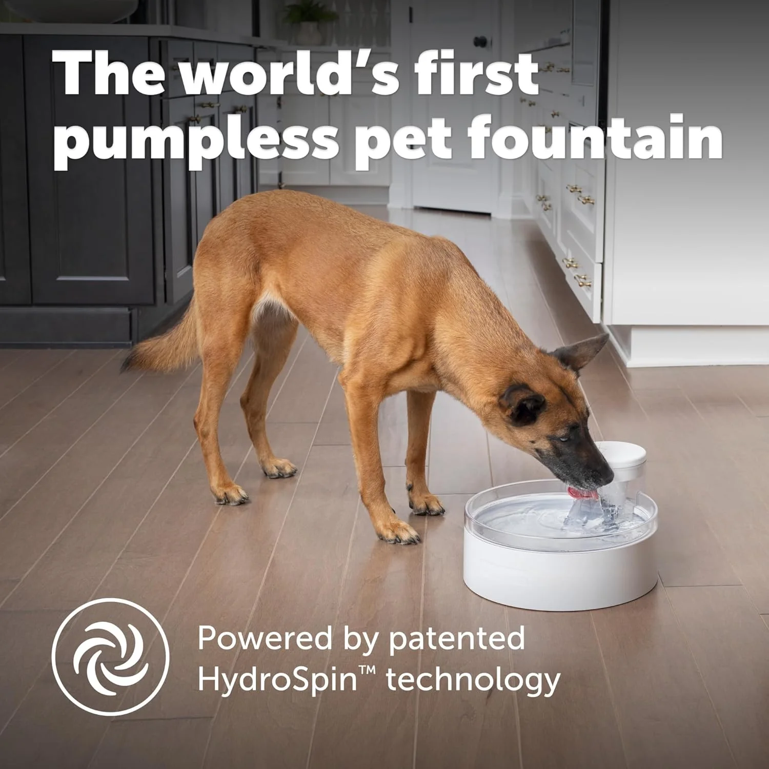 PetSafe Outlast Pumpless Cat & Dog Water Fountain - Image 2