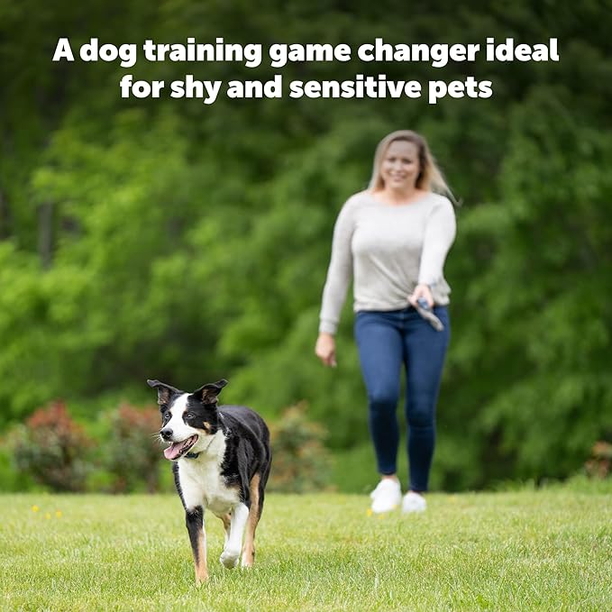 PetSafe Remote Spray Trainer, Dog Training Collar - 3 Modes: Tone, Vibration or Spray - Rechargeable and Water-Resistant Includes Citronella and Unscented Spray Refills - 300 Yards (900 Feet) Range - Image 9
