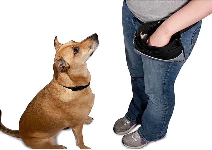 PetSafe Treat Pouch Sport- Durable, Convenient Dog Training Accessory, Standard - Image 4