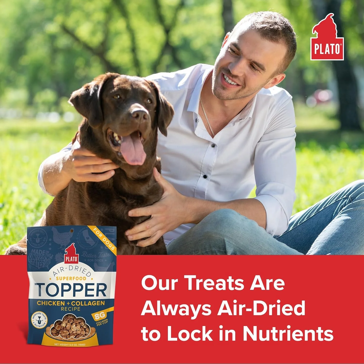 PLATO Pet Treats Dog Food Toppers - Air-Dried Dog Food Toppers for Dry Food - with Collagen to Support Skin and Coat Health - Chicken and Collagen Recipe - Image 3