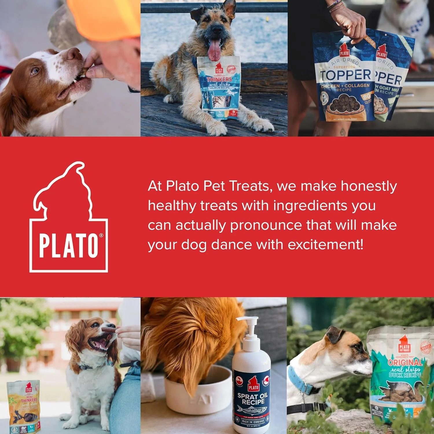PLATO Pet Treats Dog Food Toppers - Air-Dried Dog Food Toppers for Dry Food - with Collagen to Support Skin and Coat Health - Chicken and Collagen Recipe - Image 8