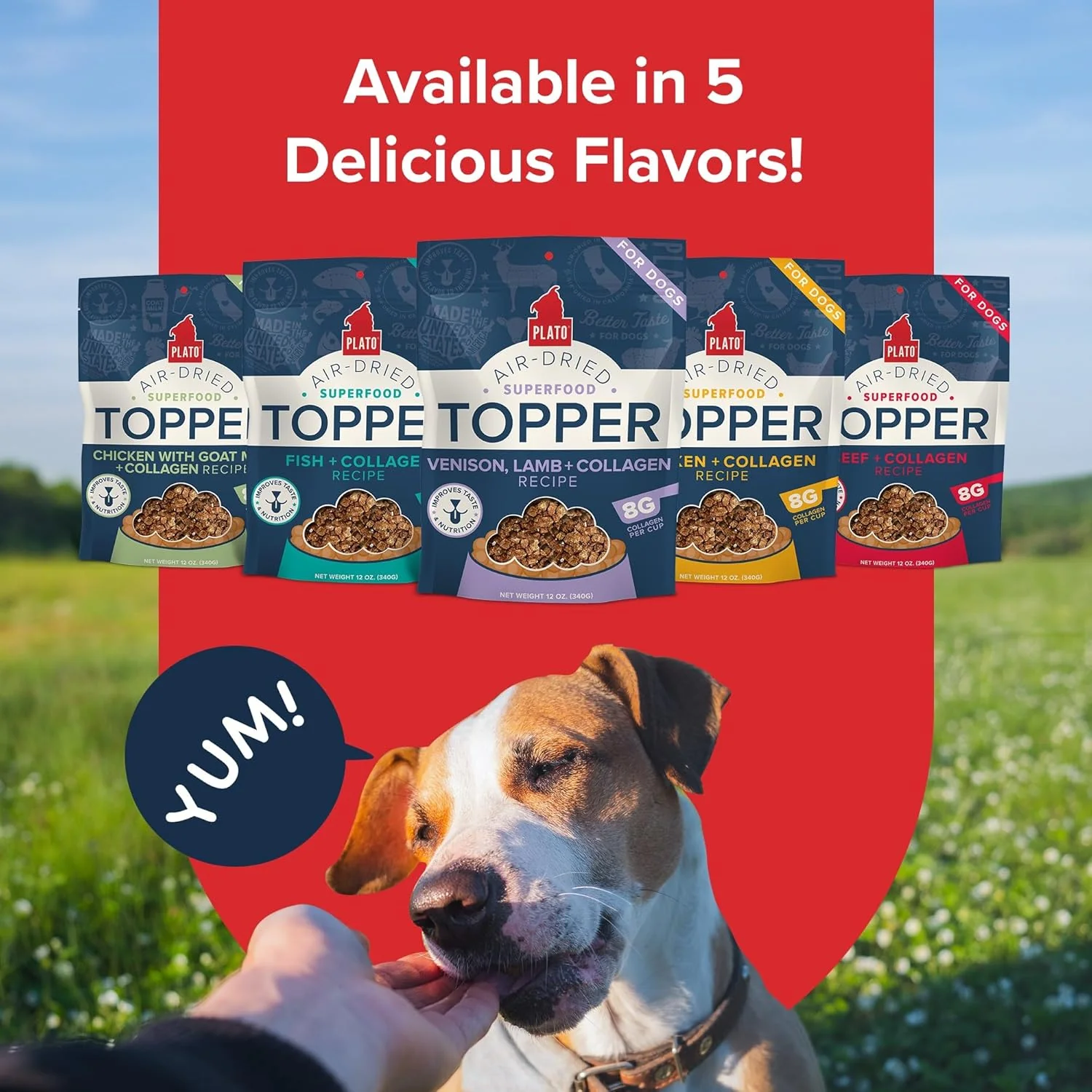 PLATO Pet Treats Dog Food Toppers - Air-Dried Dog Food Toppers for Dry Food - with Collagen to Support Skin and Coat Health - Venison, Lamb and Collagen Recipe - Image 6