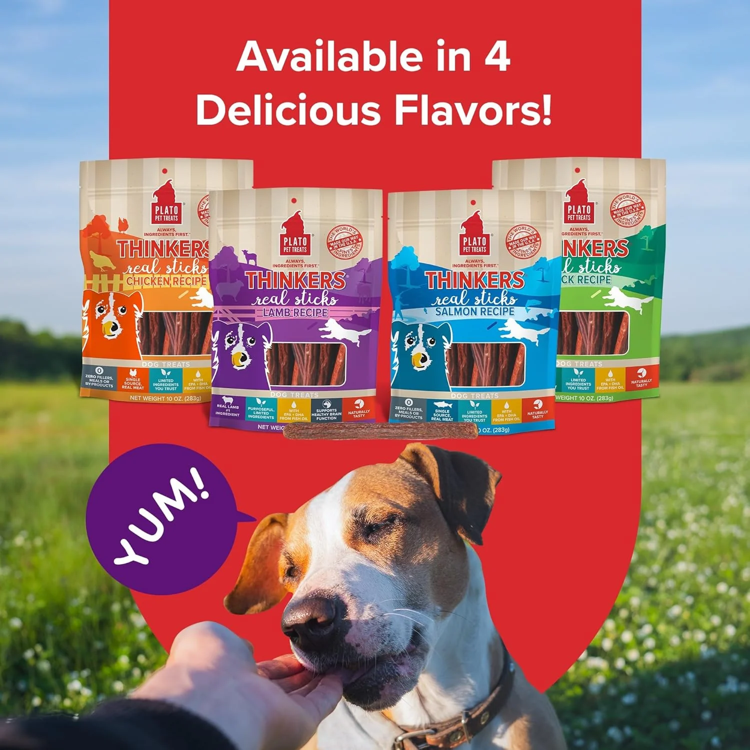 Plato Pet Treats Thinkers - Meat Sticks for Dogs - Limited Ingredient Treats with EPA and DHA to Support Skin, Coat, and Brain - Air-Dried - Lamb - Image 6