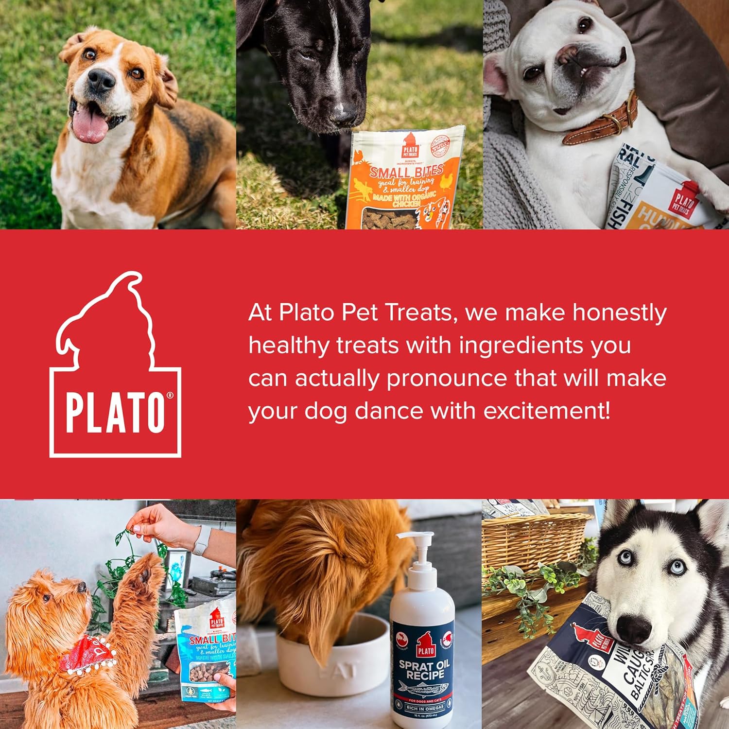 Plato Small Bites Salmon 2.5oz, Natural - Image 8