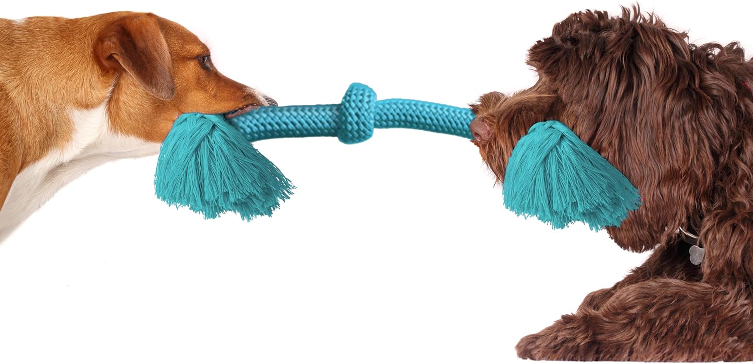 Playology Dri Tech Rope Dog Chew Toy , All-Natural Peanut Butter Scented - Image 3