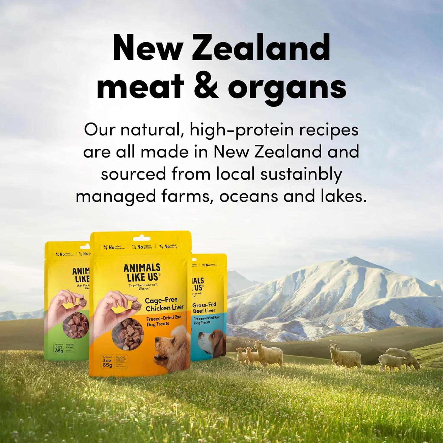 Animals Like Us - Premium Dog Treats, Freeze-Dried Raw 100% Cage-Free Chicken Liver, Single Ingredient, Protein Rich, Non-GMO, No Wheat or Corn, 3 oz - Image 2