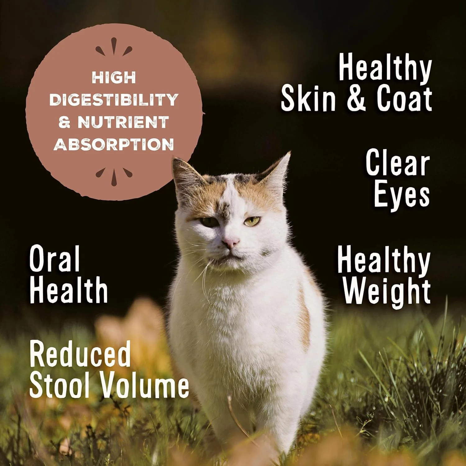 Primal Freeze Dried Raw Cat Food Nuggets Pork, Complete & Balanced Meal or Topper, Premium, Healthy, Grain Free, High Protein Raw Cat Food with Probiotics - Image 3