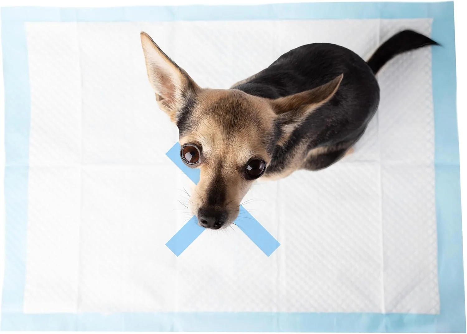SPOT X Marks The Spot Extra Absorbent Pee Pads | Puppy Pads | Puppy Pads with Adhesive | Training Pads | Dog Pads | Dog Pee Pads | Dog Potty Pads | Adhesive Strips | 22"X22" - Image 2