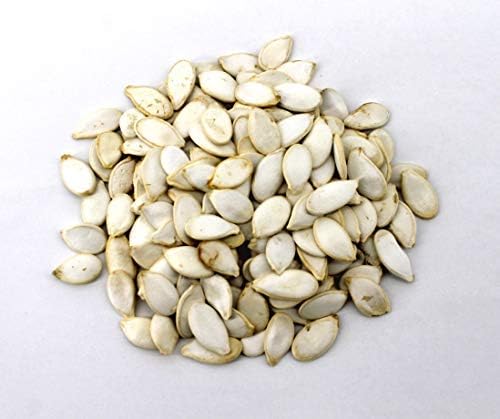 Pumpkin Seeds, 5 Oz Bag - Real Pumpkin Seeds for Birds and Small Animals - Rabbits, Hamsters, Mice, Gerbils, Rats, Cockatiels, Parrots, Macaws, Conures - Image 4