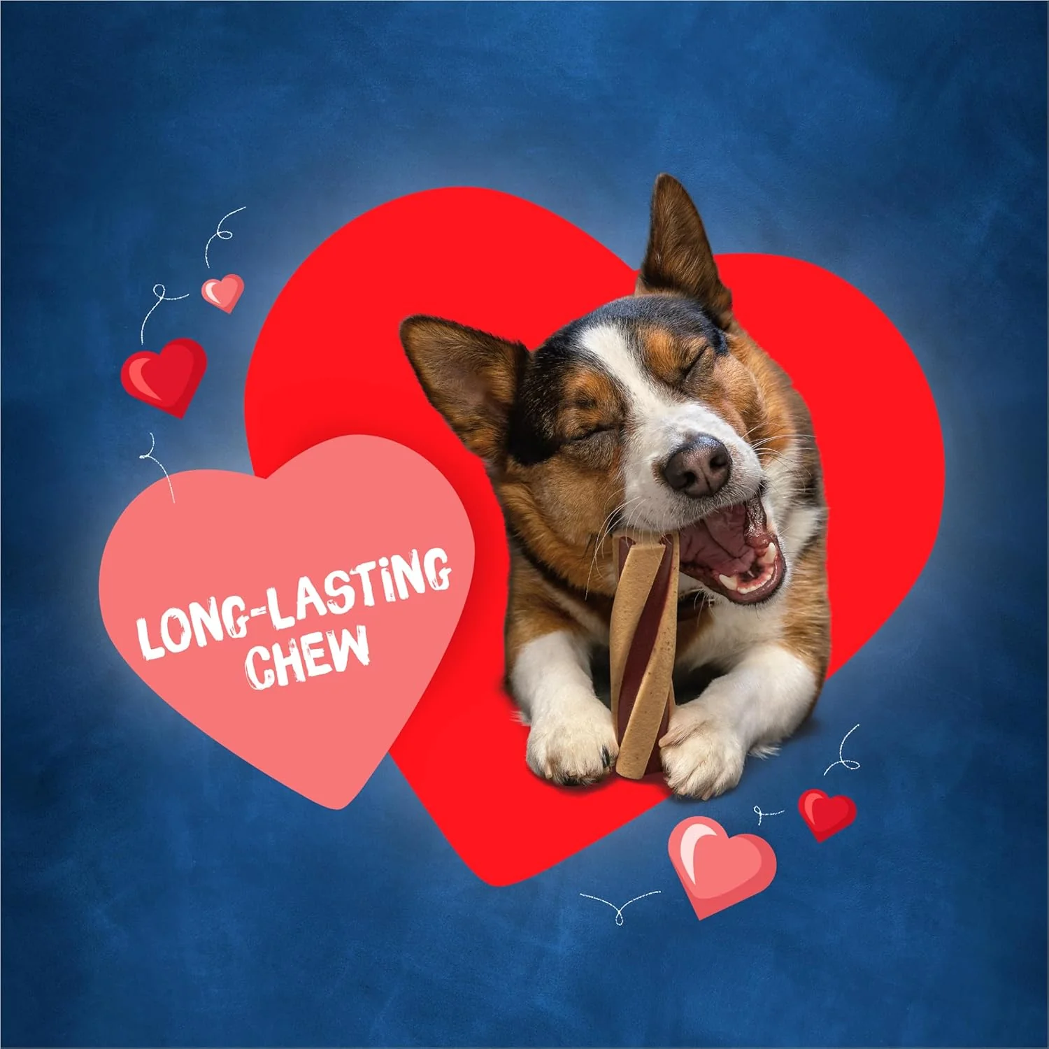 Purina Busy with Beggin' Twist'd Small/Medium Dog Treats - Image 3
