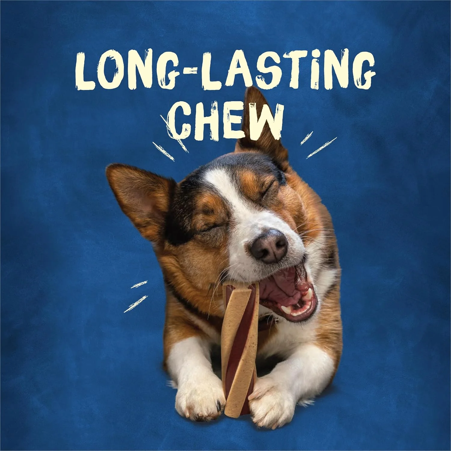 Purina Busy with Beggin' Twist'd Small/Medium Dog Treats - Image 4