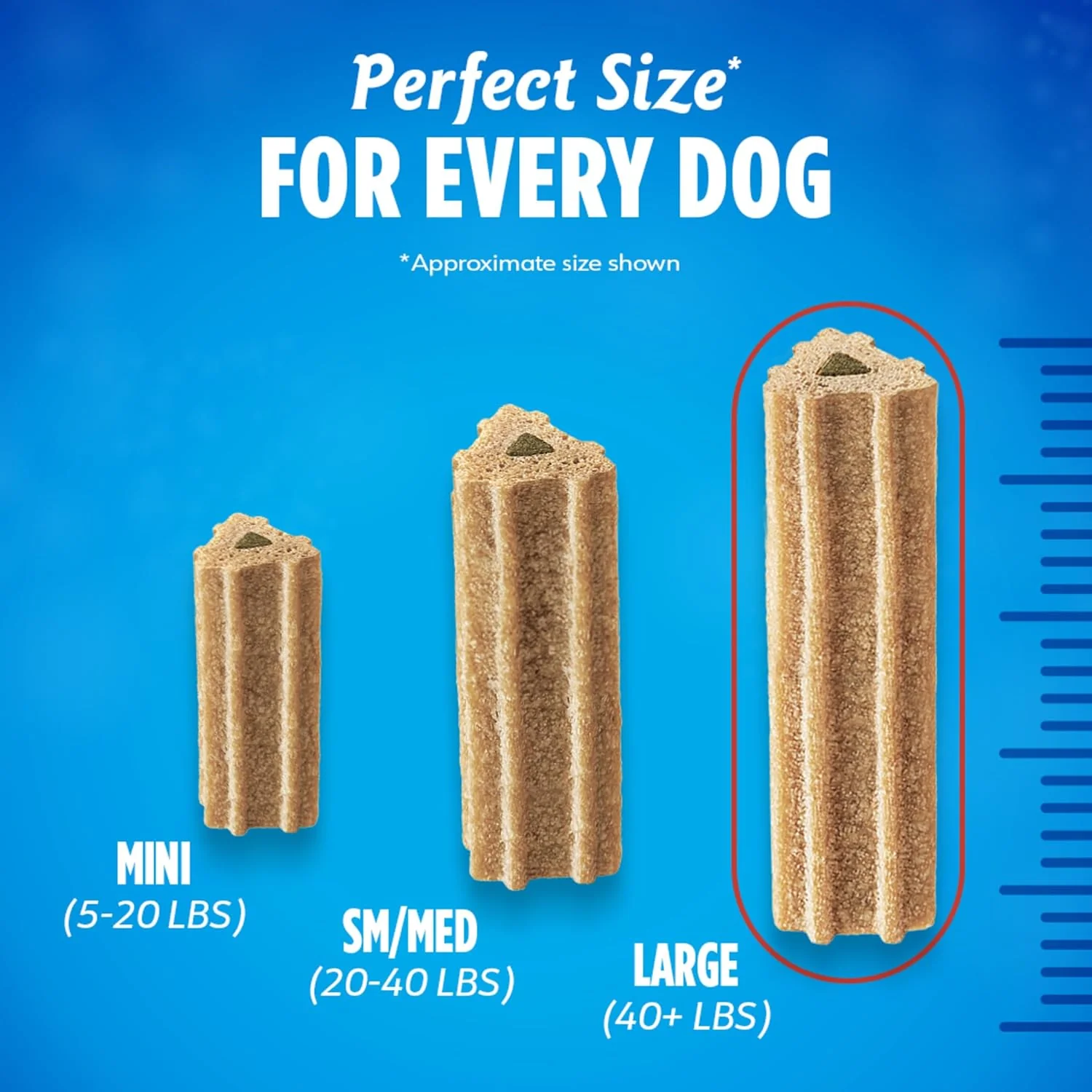 Dentalife Purina Large Breed Dog Dental Chews, ActivFresh Daily Oral Care Large Chews - 21 ct. Pouch - Image 7