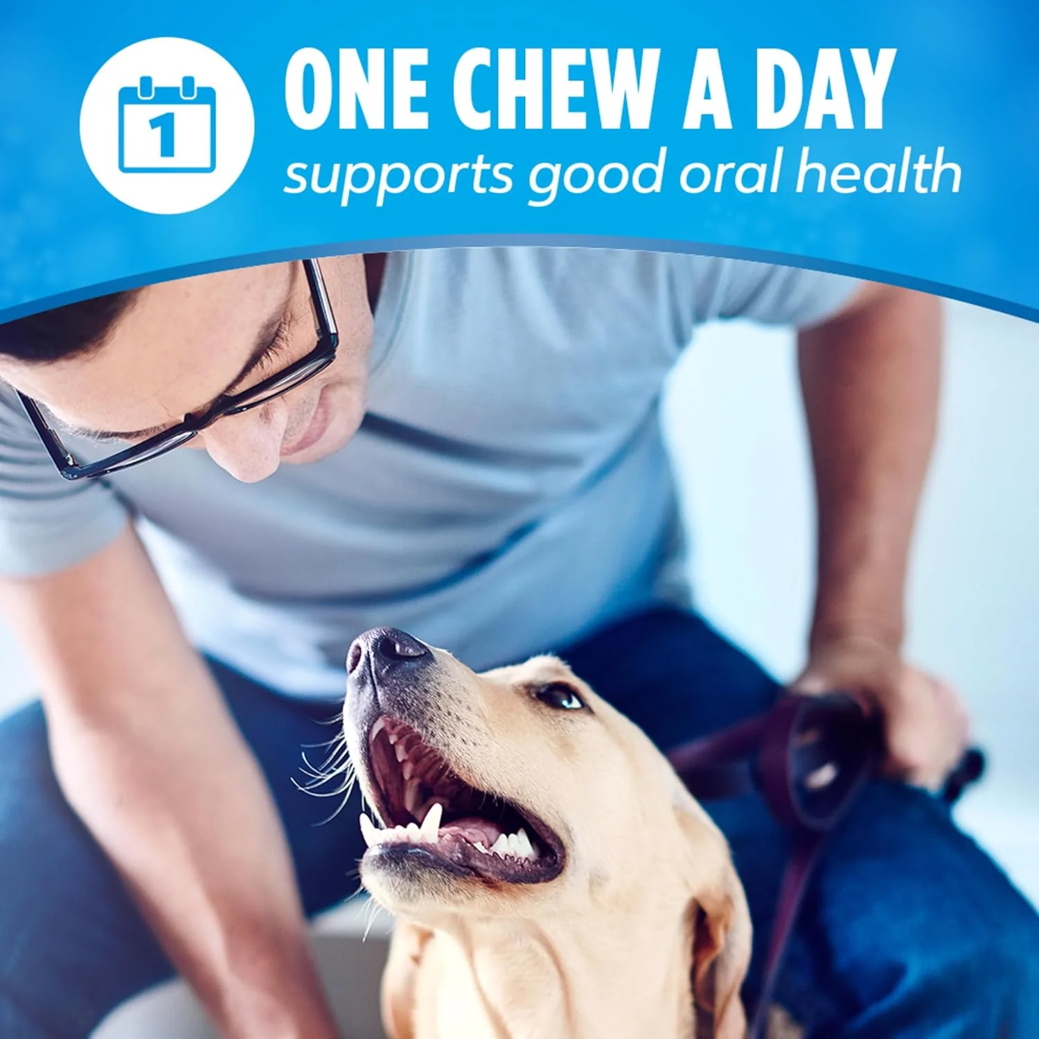 Purina DentaLife Small/Medium Breed Dog Dental Chews; ActivFresh Daily Oral Care Small/Medium Chews - 9 ct. Pouch - Image 8