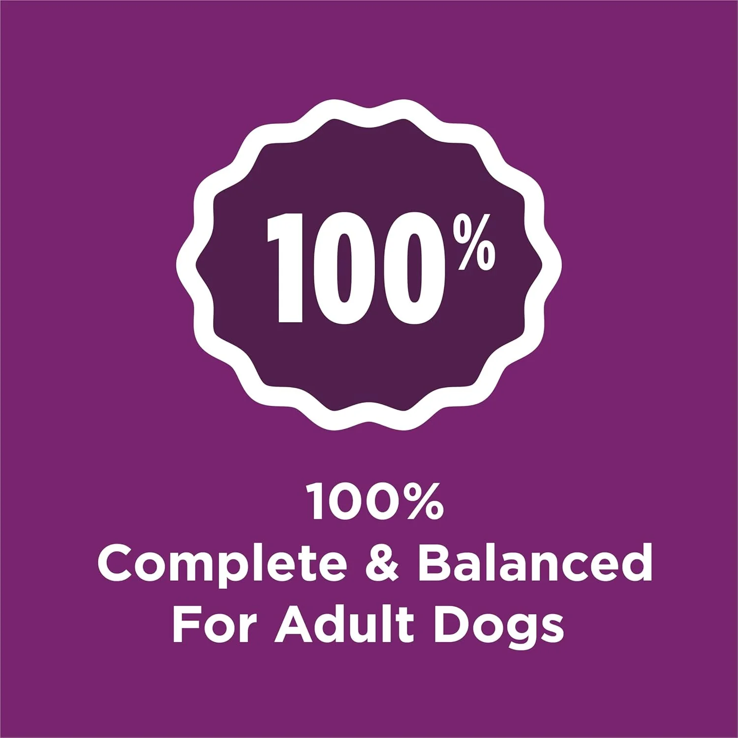 Purina Dog Chow Complete Adult Dry Dog Food Kibble with Lamb Flavor - 18.5 lb. Bag - Image 3