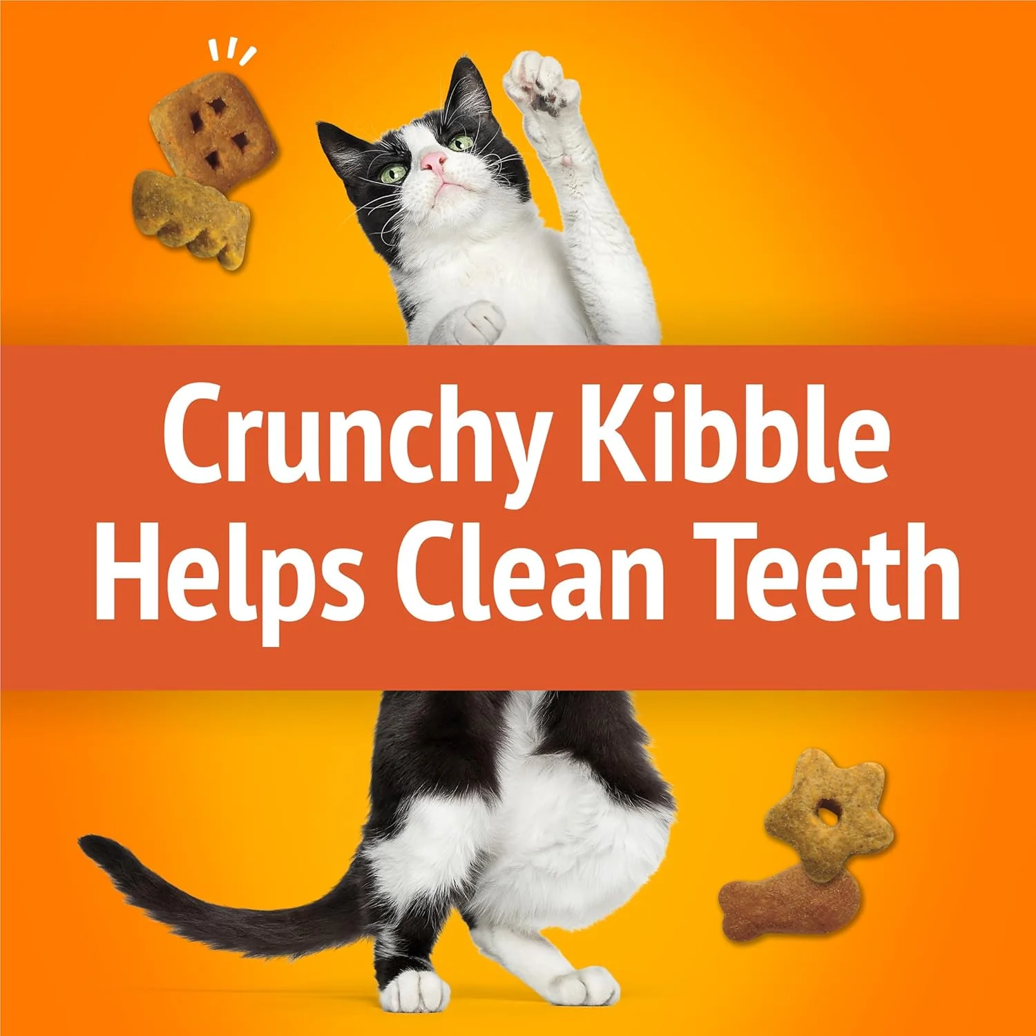 Purina Friskies Cat Treats, Party Mix Original Crunch - 20 oz. Canister - Image 4
