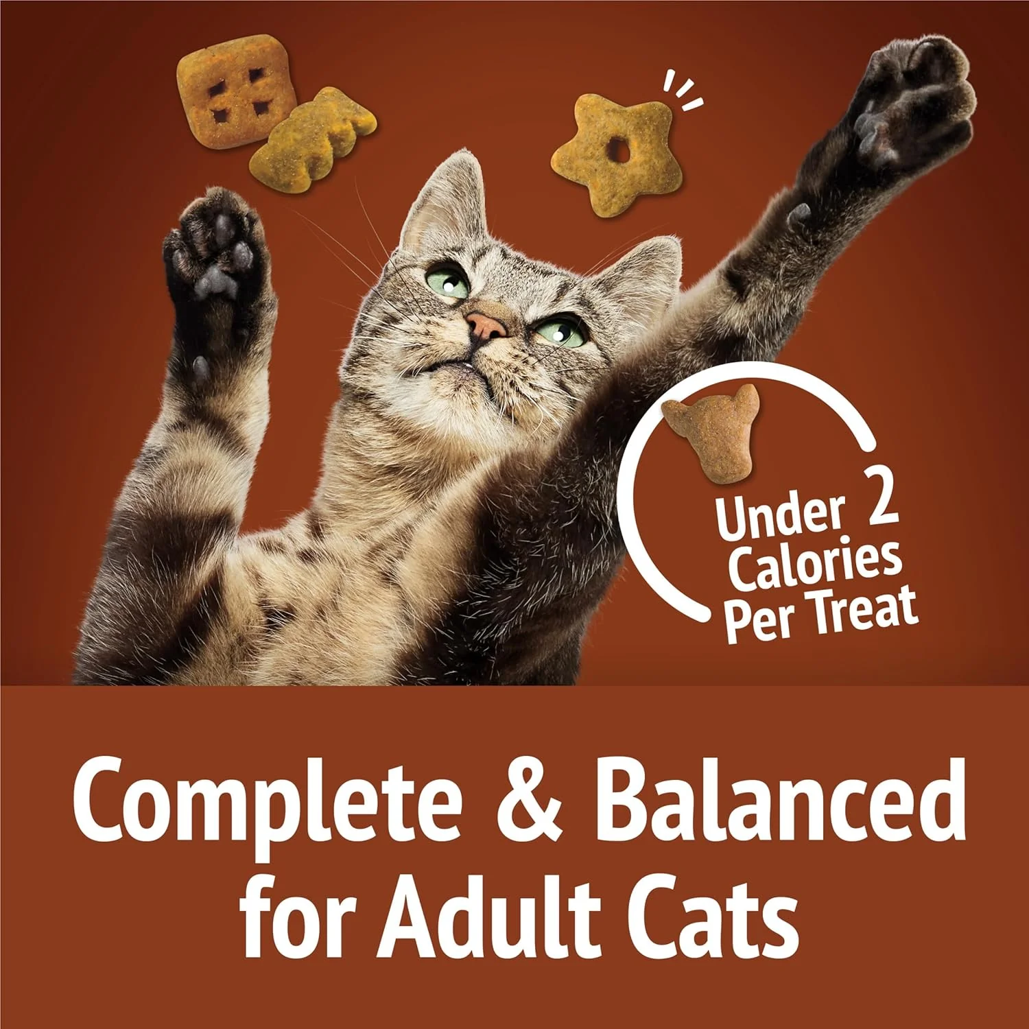 Purina Friskies Cat Treats, Party Mix Wild West Crunch -  2.1 oz. Pouches - Image 8
