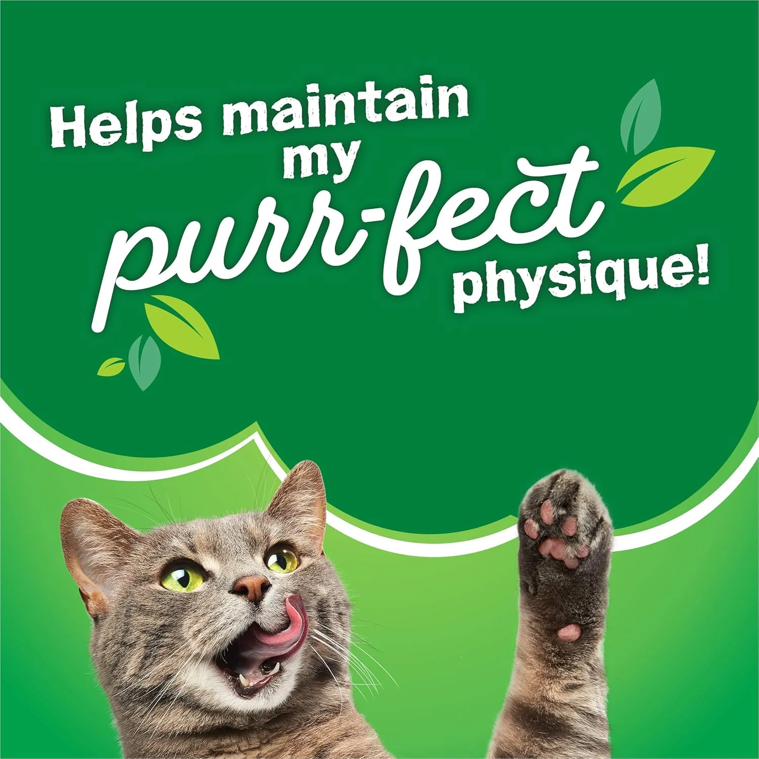 Purina Friskies Dry Cat Food, Surfin' & Turfin' Favorites - 16 lb. Bag - Image 10