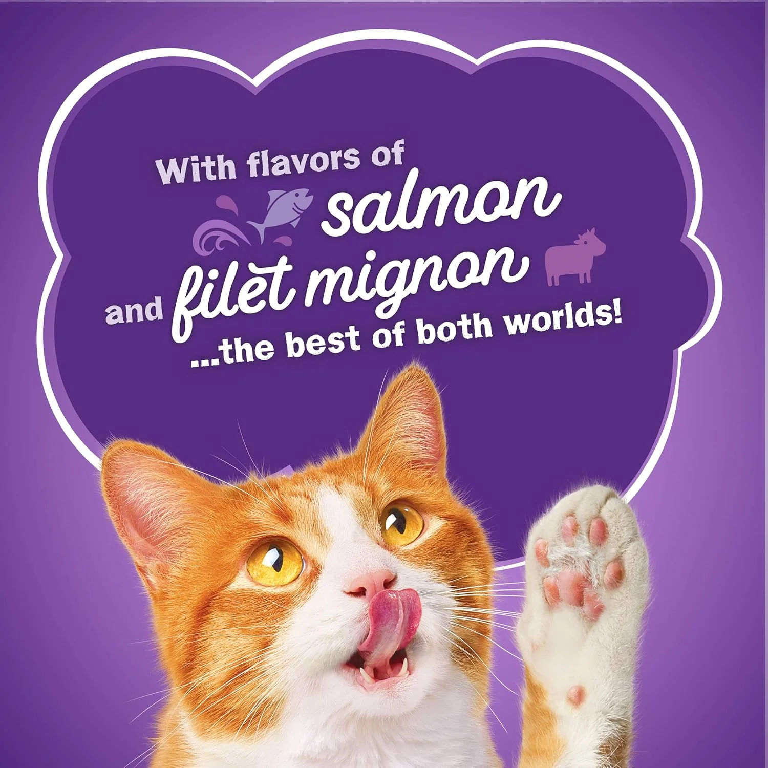 Purina Friskies Dry Cat Food, Surfin' & Turfin' Favorites - 16 lb. Bag - Image 9