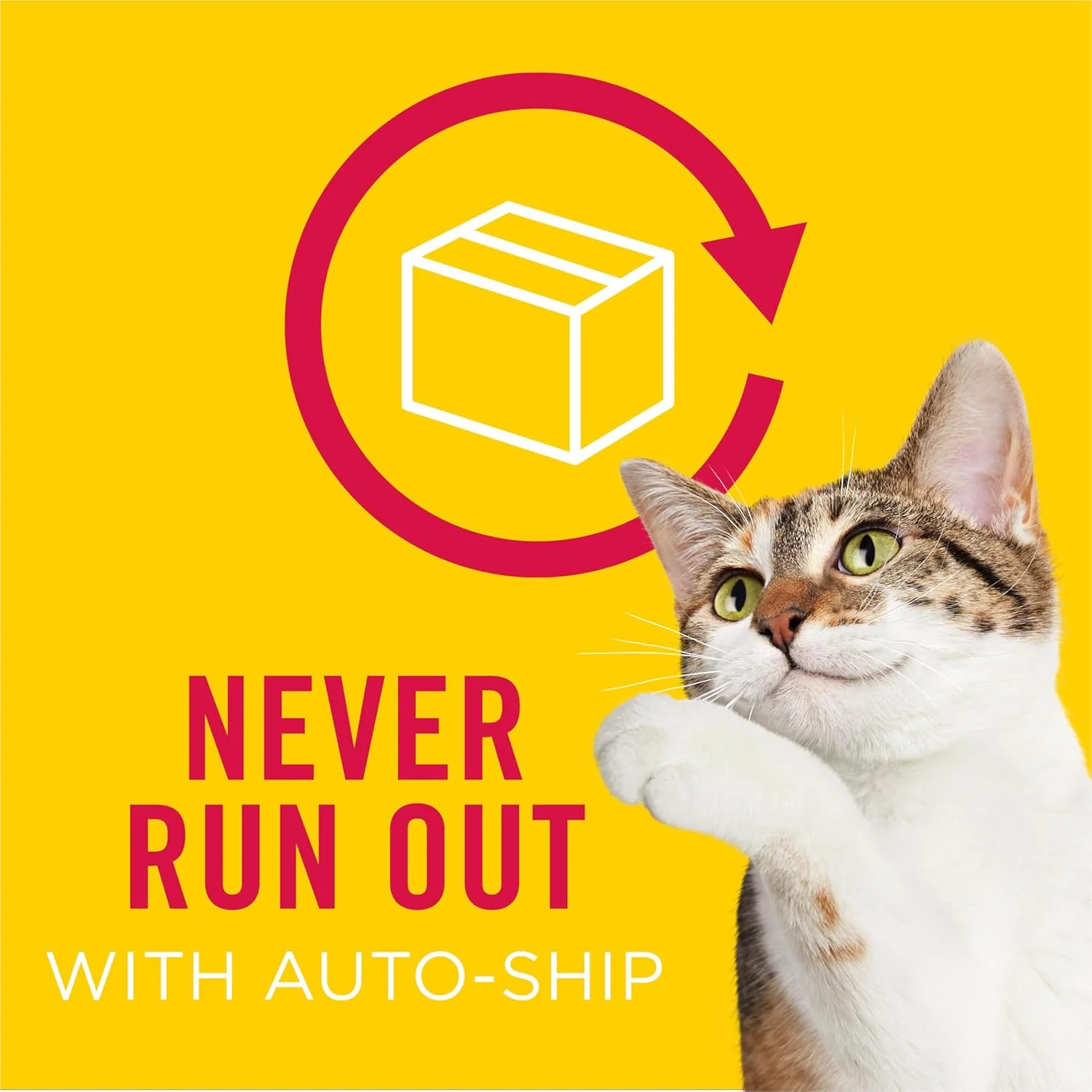 Purina Friskies Shreds With Chicken in Wet Cat Food Gravy - (Pack of 24) 5.5 oz. Cans - Image 10