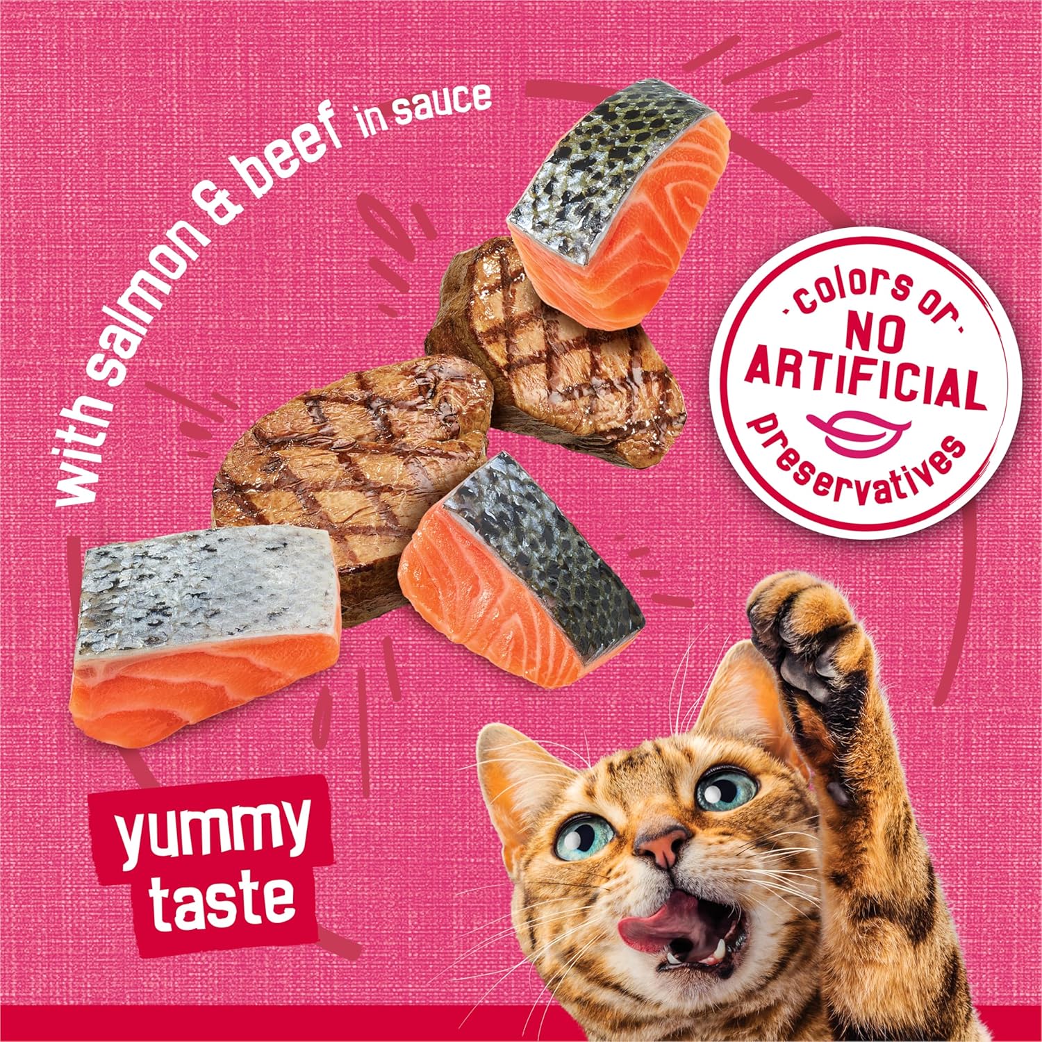 Purina Friskies Prime Filets With Salmon and Beef in Sauce High Protein Wet Cat Food - (Pack of 24) 5.5 oz. Cans - Image 4