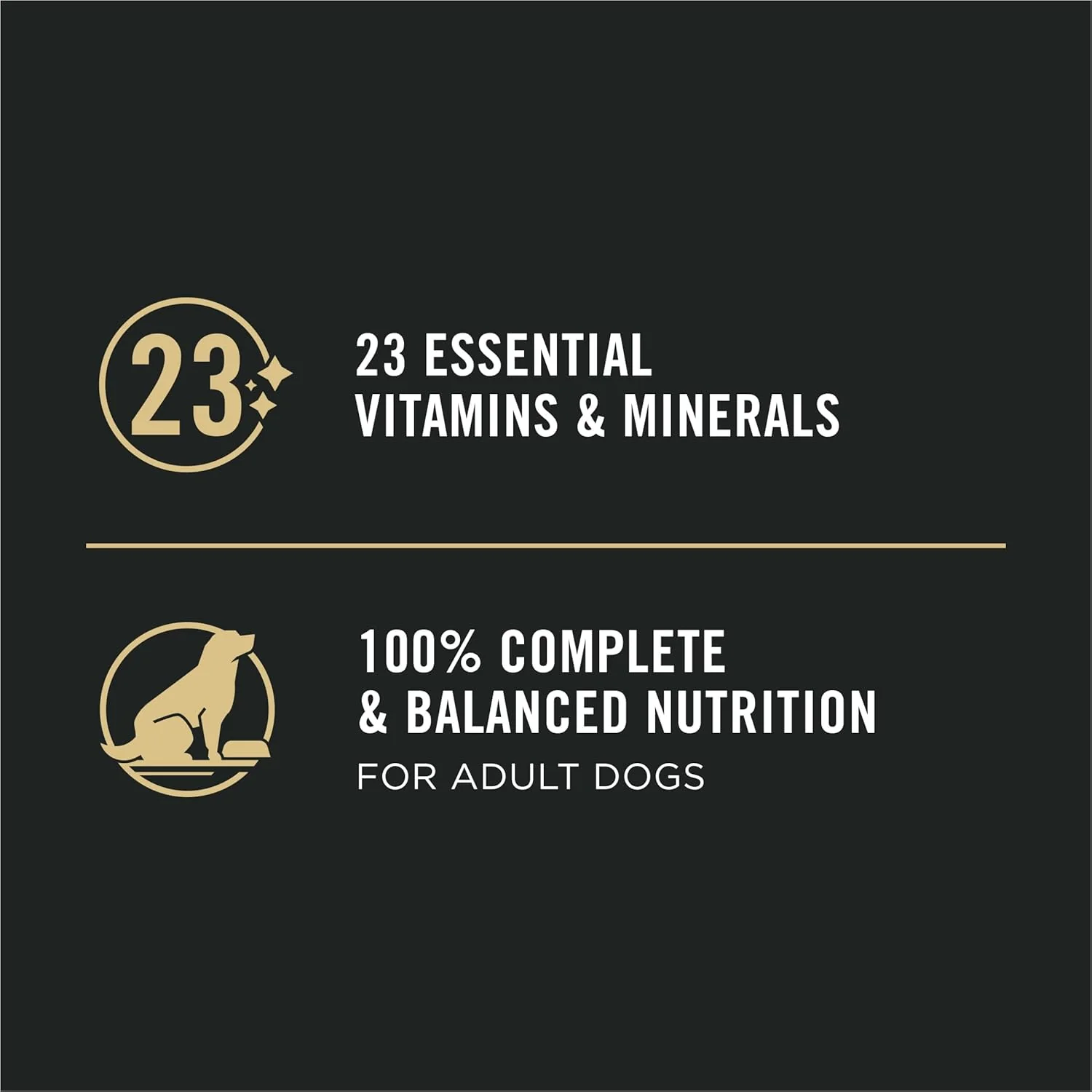 Purina Pro Plan Canned Dog Food, Sensitive Skin & Stomach Salmon & Rice, 13 oz, 12 Pack - Image 8