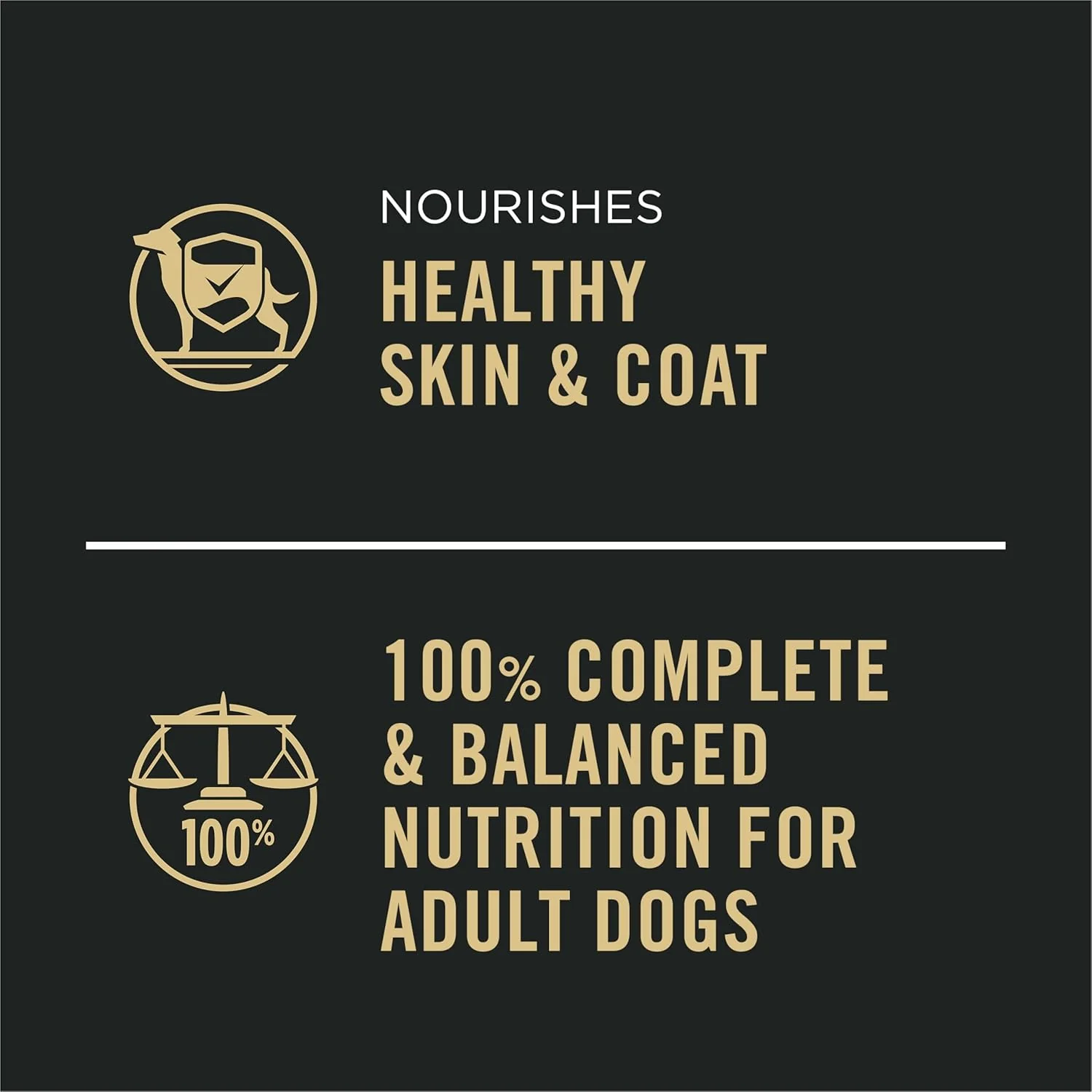 Purina Pro Plan Complete Essentials Beef and Rice Entree Dog Food - Image 5