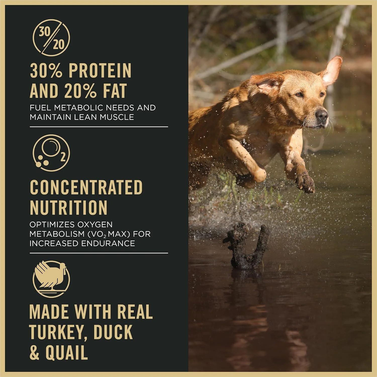 Purina Pro Plan Sport Performance 30/20 Turkey Duck Quail Formula Dry Dog Food, High Protein Dog Food - 33 lb. Bag - Image 6